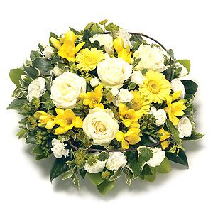 Yellow Posy