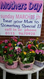 Mothers Day Planted Basket 02