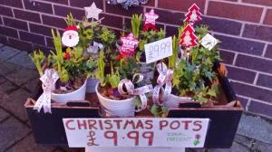 XMas Pots