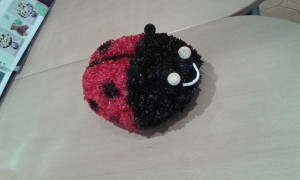 Ladybug-01